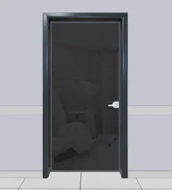 Anthracite Aluminum Frame Smoke Glass Door