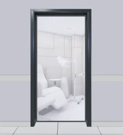 Anthracite Aluminum Framed Laminated Glass Clinic Door