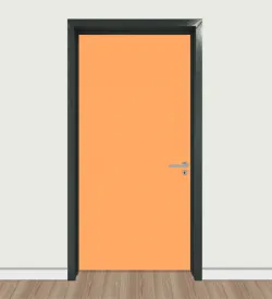 Orange Marigold Colored Anthracite Steel Frame Door