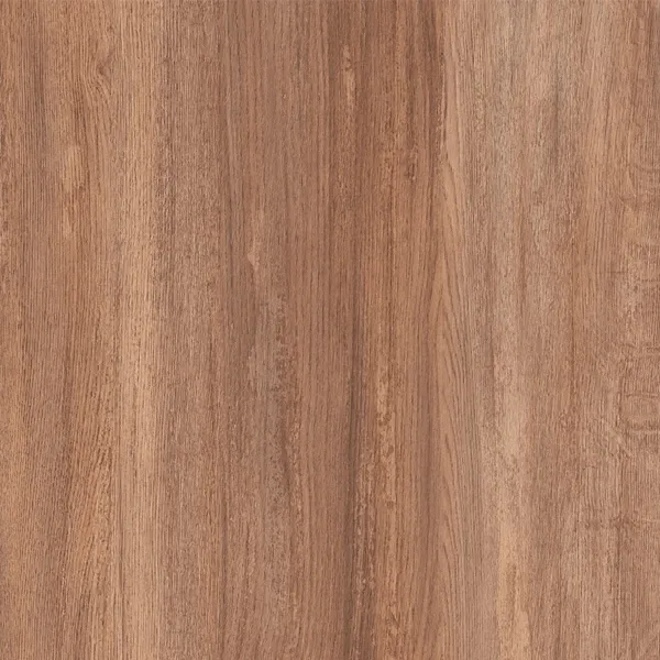 Seal Cove Oak 1